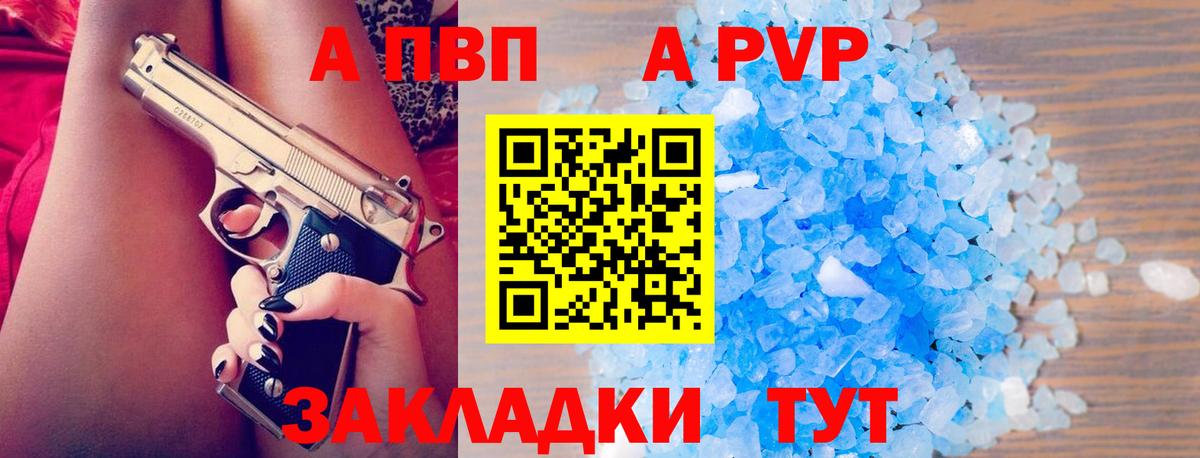 Альфа ПВП СК КРИС Дагестанские Огни