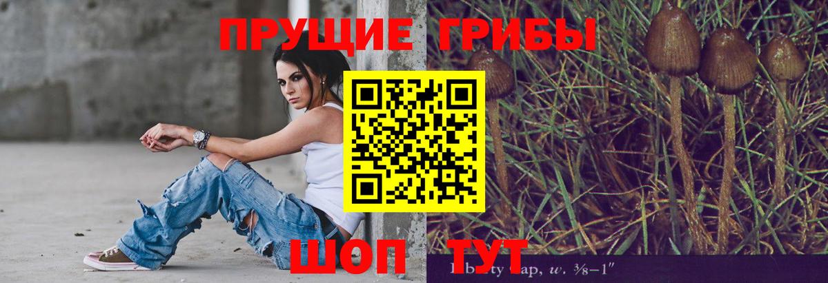 Псилоцибиновые грибы Psilocybe  Вход с VPN  Дагестанские Огни 