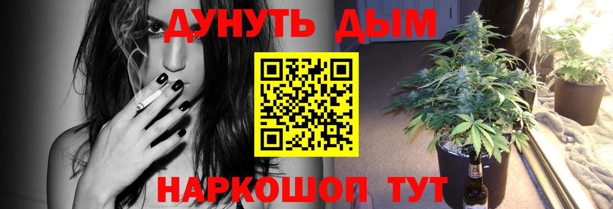 Конопля индика Дагестанские Огни